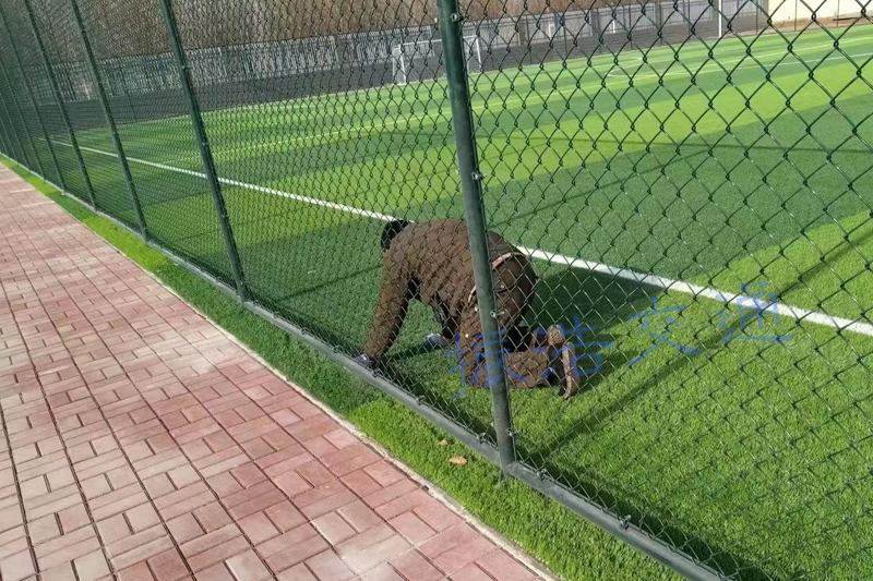 سياج الملعب